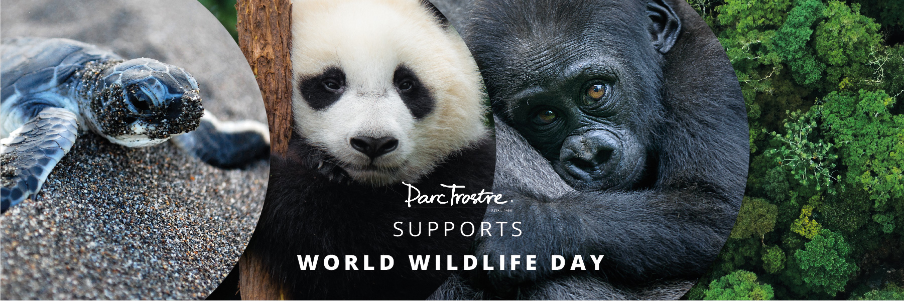 Fresh Finds – World Wildlife Day