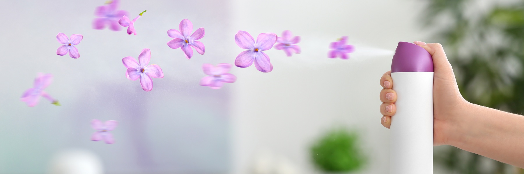 It’s time for a spring refresh!